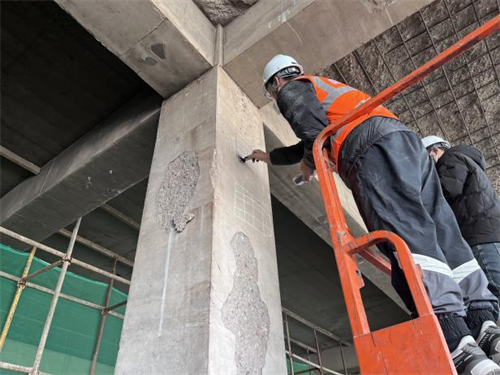 主體結(jié)構(gòu)檢測項目